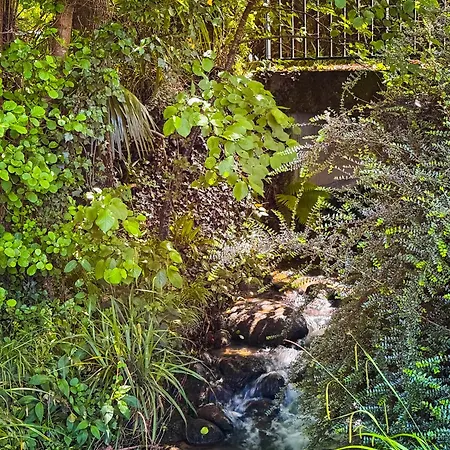 Le Pountou Grand Parc Nature Calme Wifi Rieux-de-Pelleport