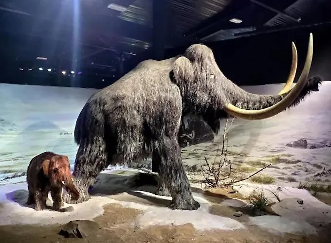 La Petite Maison Au Grand Parc Holiday home Rieux-de-Pelleport