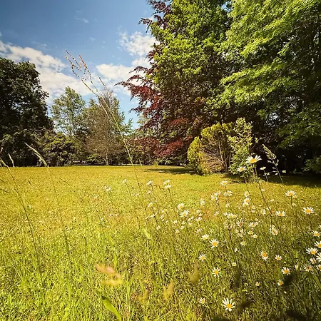 La Petite Maison Au Grand Parc *