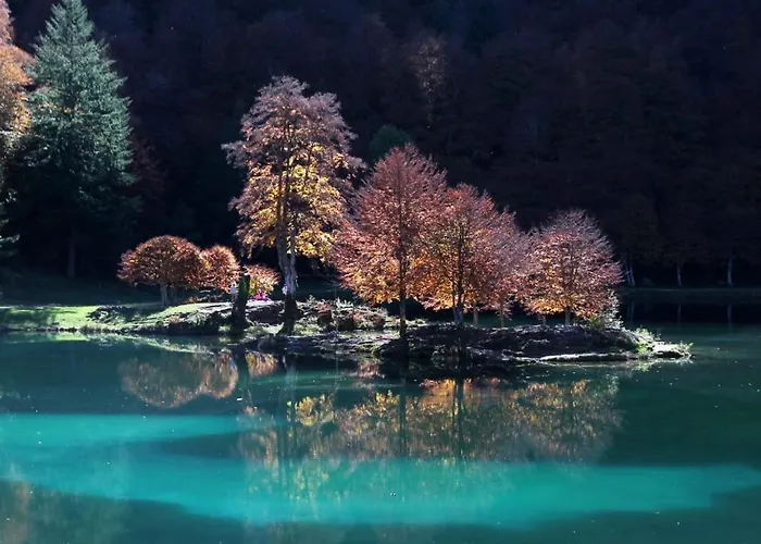 La Petite Maison Au Grand Parc *