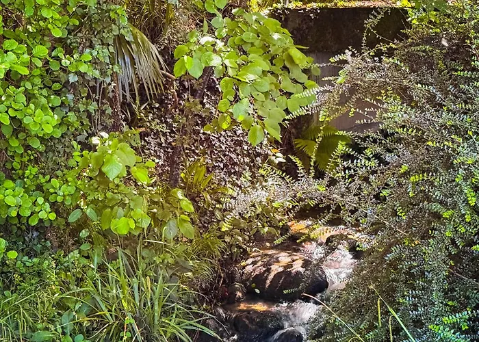 La Petite Maison Au Grand Parc Rieux-de-Pelleport