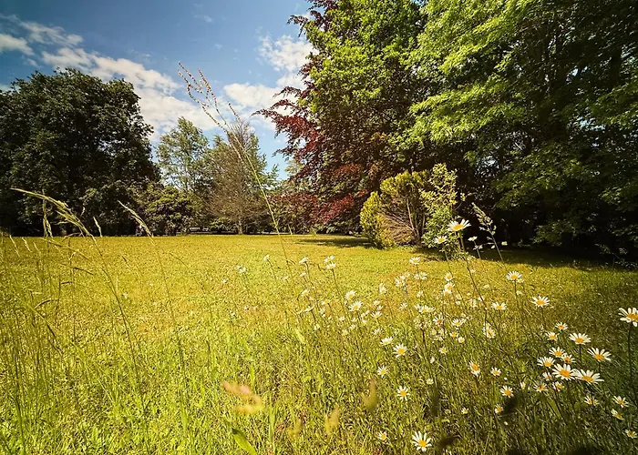 La Petite Maison Au Grand Parc *
